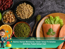 Nutrisi Harian Membantu Tubuh Tetap Fit Selama Aktivitas Padat Sehari Hari