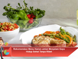 Rekomendasi Menu Harian untuk Menjalani Gaya Hidup Sehat Tanpa Ribet